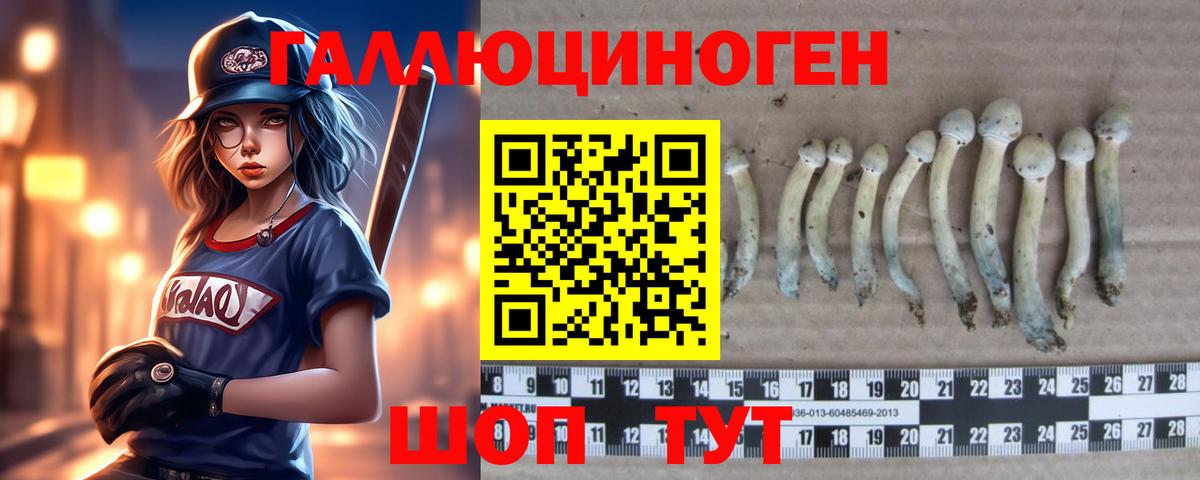 НБОМе Туапсе
